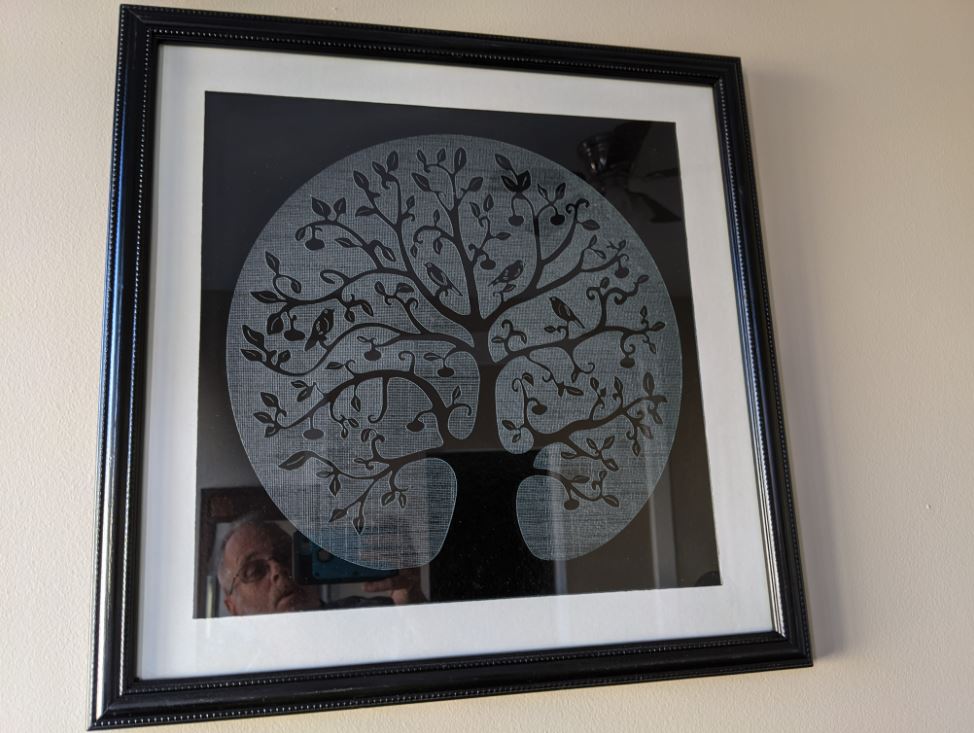 tree of life vector image